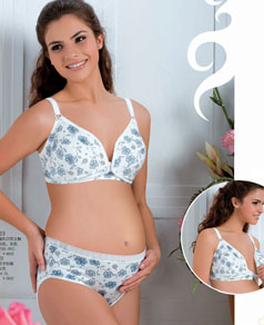 �黨���{��(n��i)��