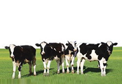 ���_(d��)ɽ��I(y��)�����|(zh��)���ߵ�47��