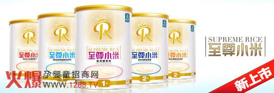 ��(y��u)ؐ���� ����С�ס�ϵ�РI(y��ng)�B(y��ng)С�׷�����