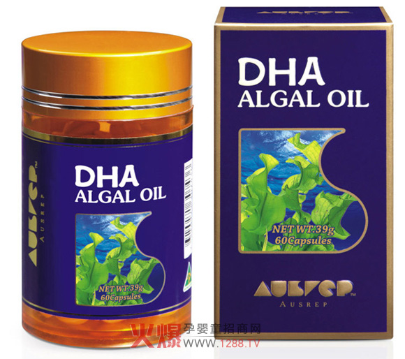 ����DHA����ܛ�z�����m(x��)��ĸ֮��