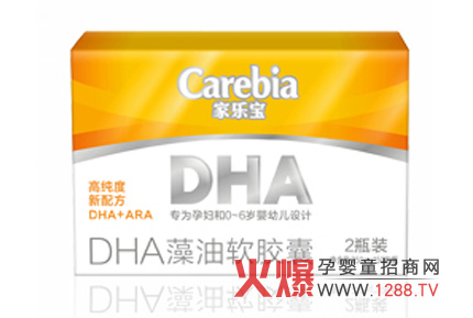 �Ҙ�(l��)��DHA����ܛ�z��ȫ��(gu��)����