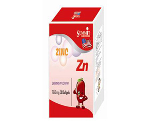 Summit�\��(l��)�\��ô��