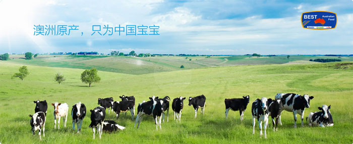 �Ĵ�������˹��ʳƷ���޹�˾��������