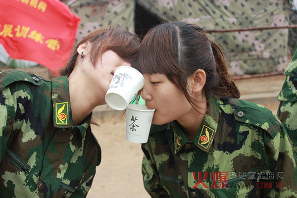 2013������չ��Ӗ