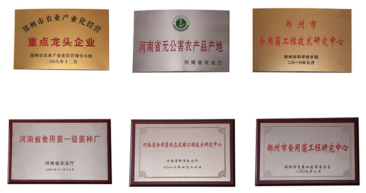 ��˾�s�u(y��)�C��(sh��)