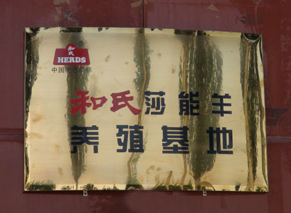 ����ɯ�����B(y��ng)ֳ����