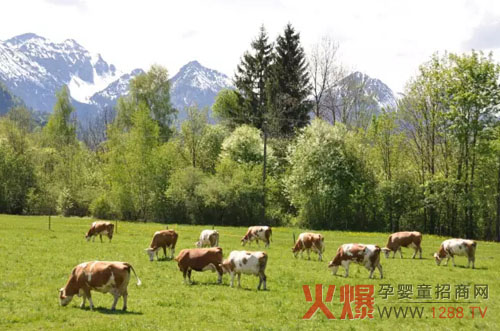 ؐ�|��һ�����������ЙC�̷�