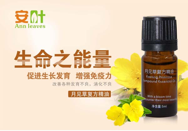 ���~��Ҋ(ji��n)�ݏ�(f��)������  