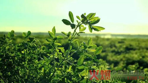 �xɽţ�̟���ӛ��������(ch��ng)������ �����֎ײ���