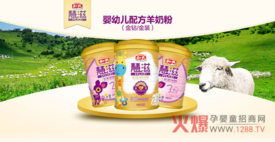 ������ʲô���ۺȺ��ϻ������̷���