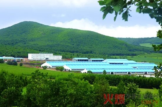 �l(f��)չ��(sh��)�w��(j��ng)��(j��)�����_(d��)ɽ���Є�(d��ng)��