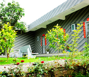 ���������o(h��)������չʾ