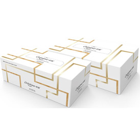 ����(��i)���׃����