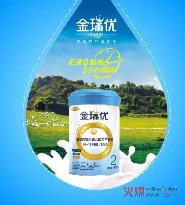 ���̷�+OPO�����ж����