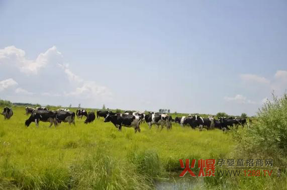 ���_(d��)ɽ�̷۞�Ε�(hu��)�ܵ��@ô���˵�ϲ��(��i)��