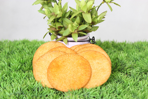   �ȶ��������಩�