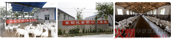 ���̷ۮa(ch��n)�I(y��)��Ȼ���� ������������A�I�Ј�