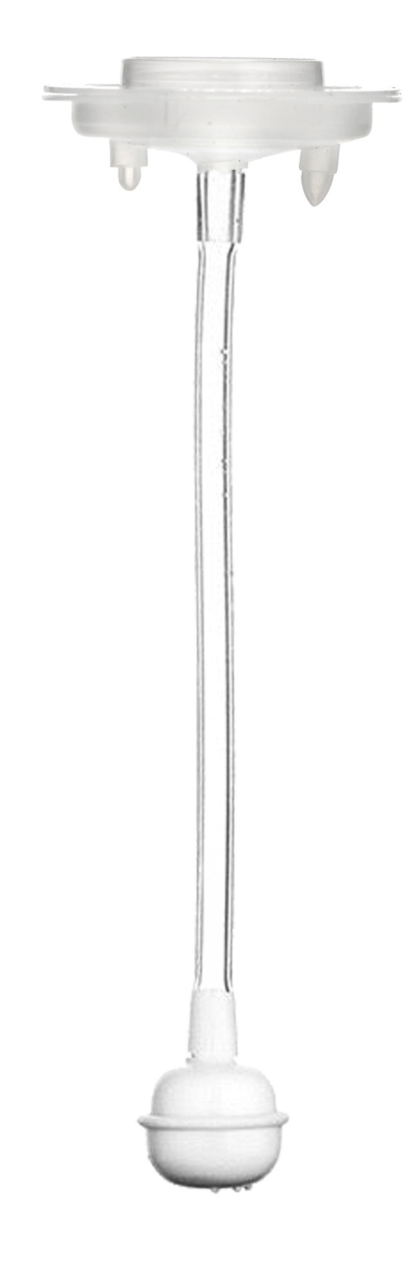  �n�в�ʿ��ƿ����