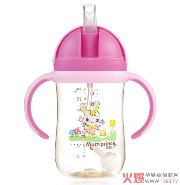 ļˮˋPPSUw©ˮ