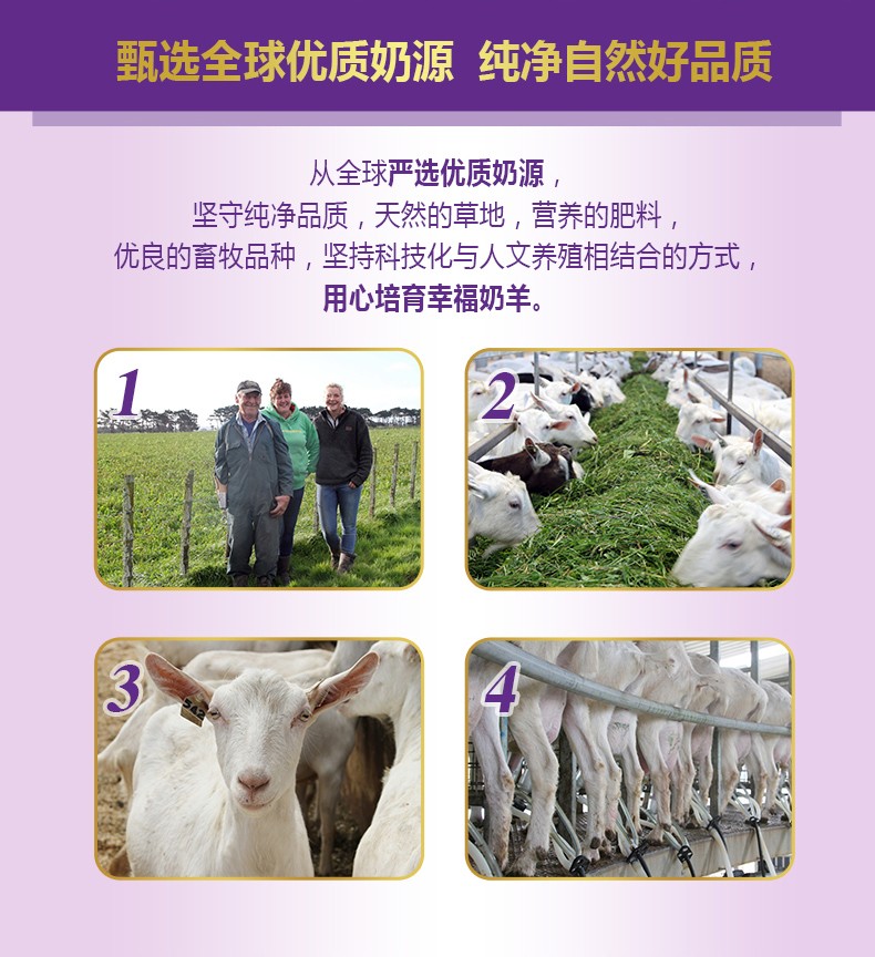  �����׃��䷽���̷ۣ�12-36���g��3�Σ�_03