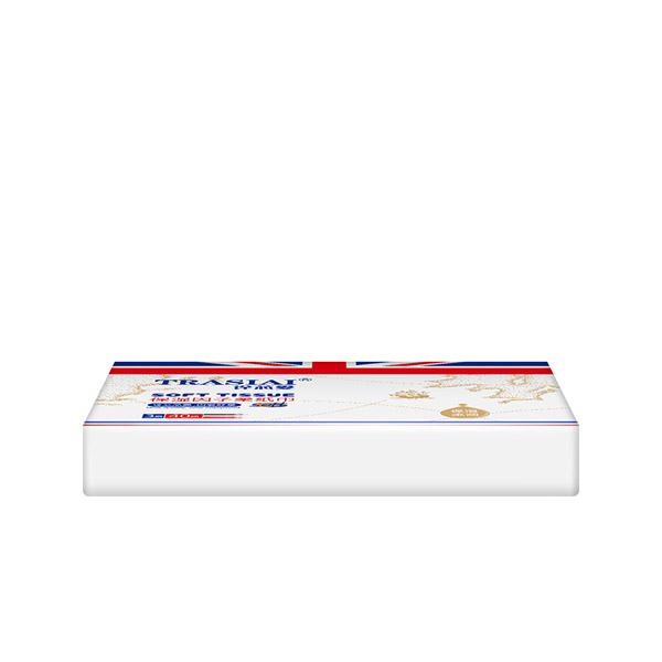 詮芯愛柔紙巾-40抽