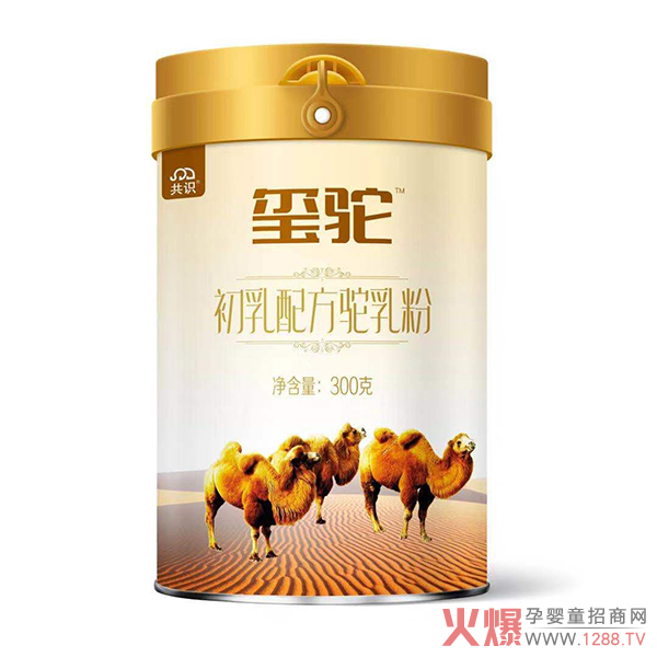 2020�Ă�(g��)���ӵ��̷ۺ��u��׌�t����۽o�����