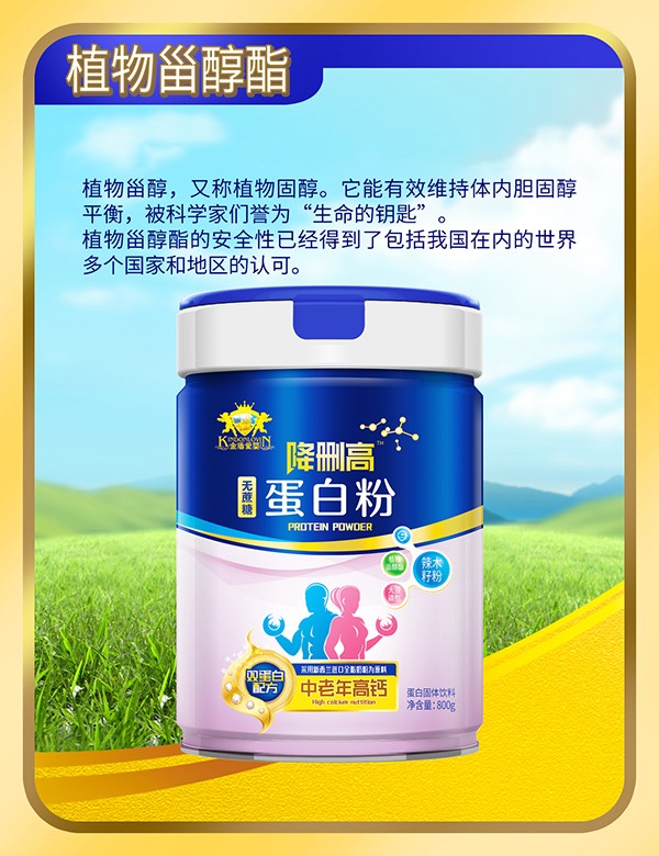 金盾愛嬰降刪高無蔗糖蛋白粉4.jpg