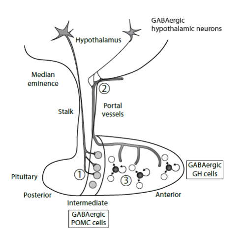圖片3.png 圖片3.png