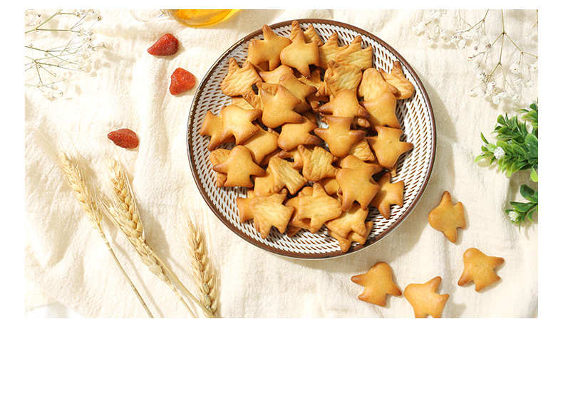 飛機(jī)造型奶鹽小餅干 (10).jpg