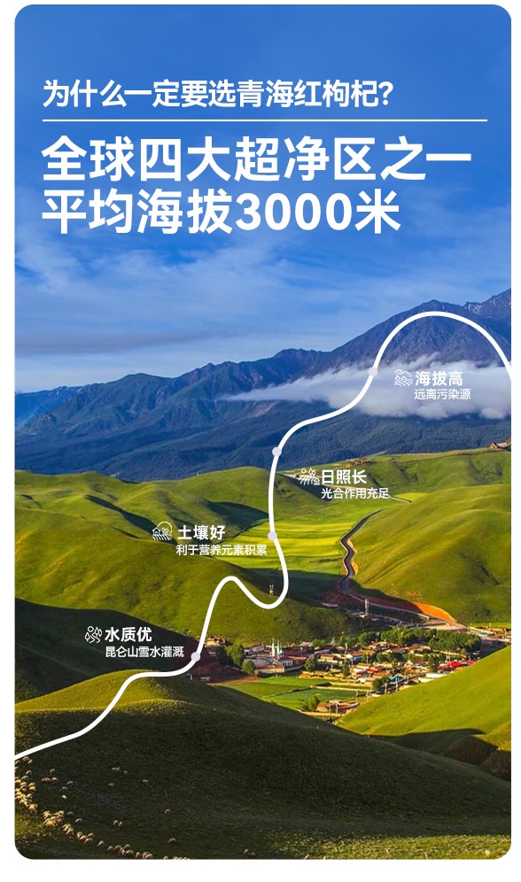 遙遠地方枸杞原漿詳情 (3).jpg