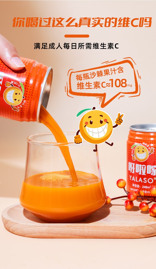 呀啦嗦沙棘果汁飲品248ml詳情 (3).jpg