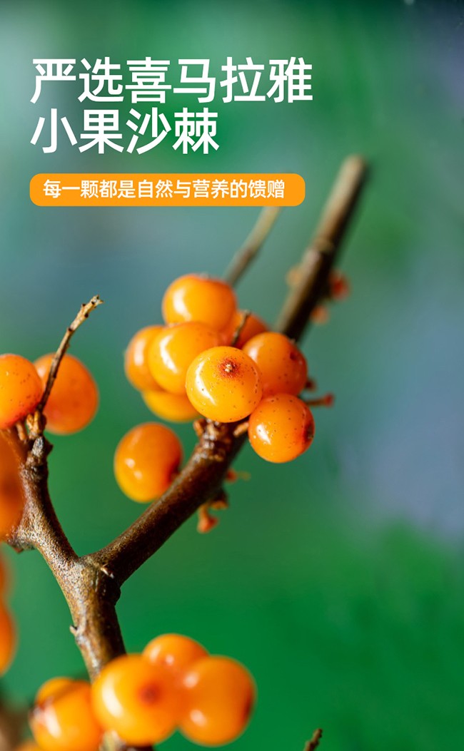 呀啦嗦有機(jī)沙棘原漿詳情 (10).jpg
