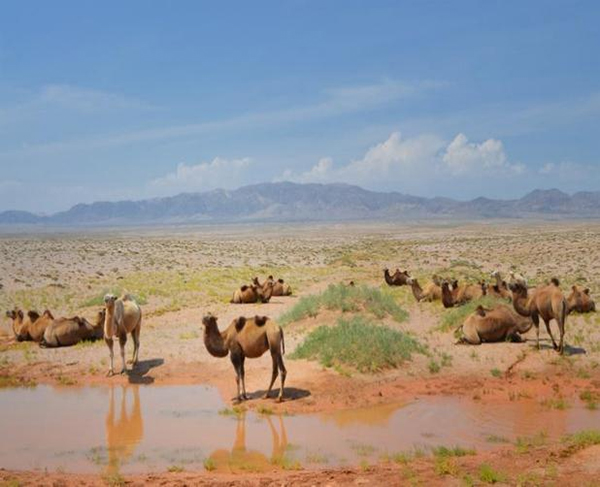 ���ƽz�ĸ�댣�������\�д���������ģʽ���´������o(h��)ȫ�ҽ������\�����ļ�����