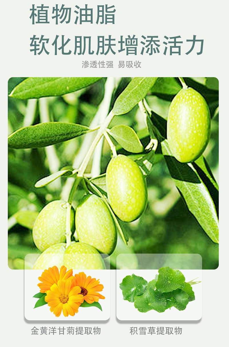 紫嬰童草嬰兒柔嫩橄欖油詳情圖_10.jpg