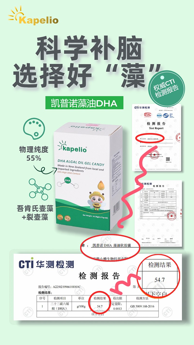  �P���Z����DHA01