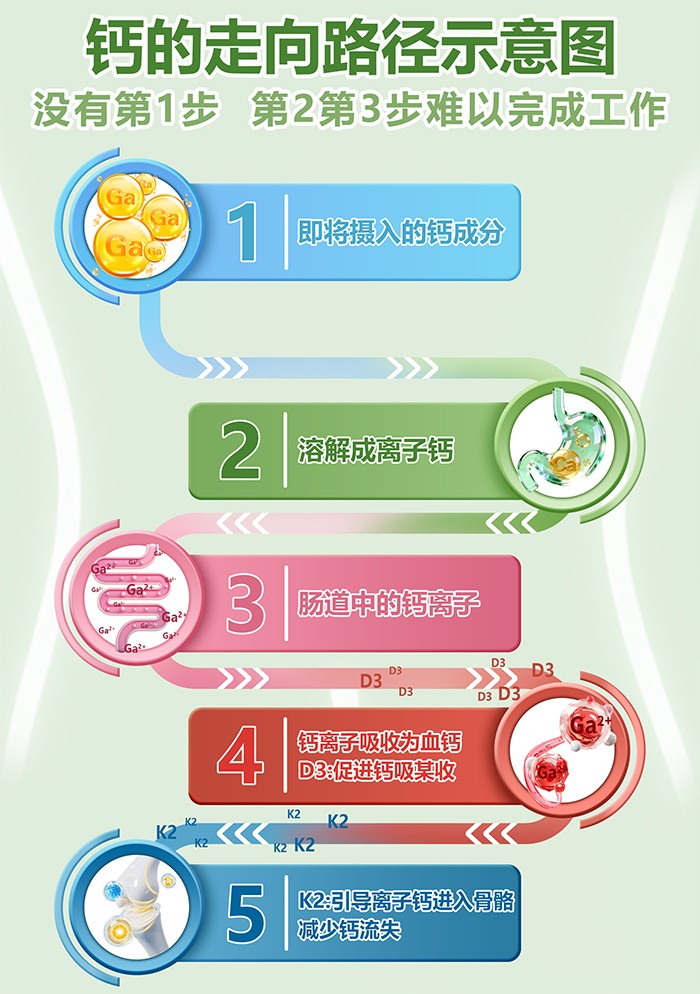 百合康綠冠軍鈣鐵鋅營養(yǎng)飲詳情 (6).jpg