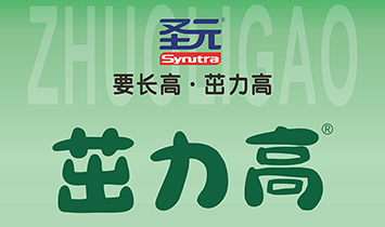 ����������������Ƽ����޹�˾