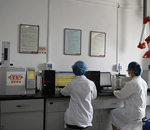 �|(zh��)�z���Č�(sh��)�(y��n)��