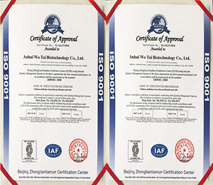 �Y�|(zh��)�C��(sh��)