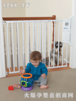 ��ϲ�����ݰ�ȫ�o(h��)��