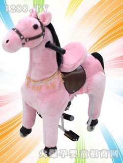 �����������T�u�R