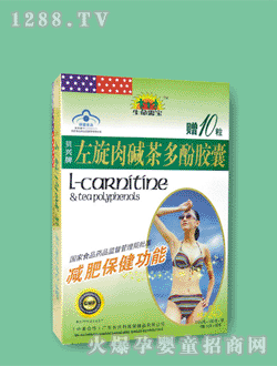 �������茚ؐ�d��������A�����z��