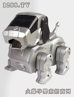 ����̫�ՙC(j��)����