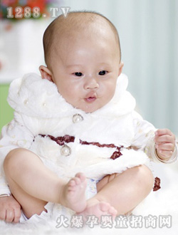 �����ӌ�������-�o�ҿ���