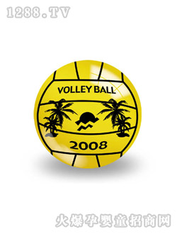 ���Z���pӡ������2008