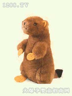 ����(m��ng)��������B��