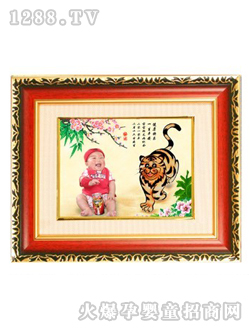 �(y��ng)����ʹ�غͻ�̥ë��(hu��)