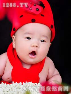 ��ɽ�ۃ����ɐ���Ƭ