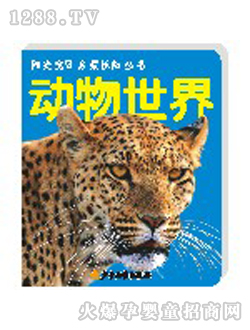 ꖹ⌚ؐ��(d��ng)�����熢�Ʌ���