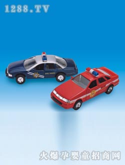 ���Ŷ����޼���܇